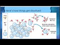 Understanding Solutions and Solubility Concepts