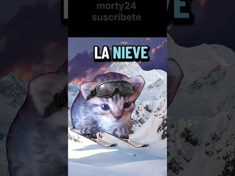 ¿por qué se pone blanca? 🤔🤨 #gatos #viral