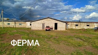 НОВЫЙ ПРОЕКТ ФЕРМА/ ОТКУДА ВЗЯТЬ ФИНАНСЫ НА ЭТО ВСЕ?!! РАЗБИРАЕМ ЗАВАЛЫ/ КОСИМ БУРЬЯН/