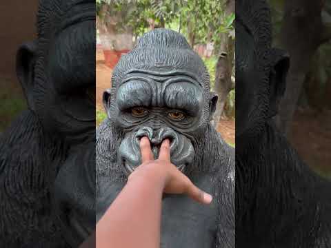 Gorilla 🦍 Ne Ungali Naak Me Fasa Diya😱🤣😂#shorts