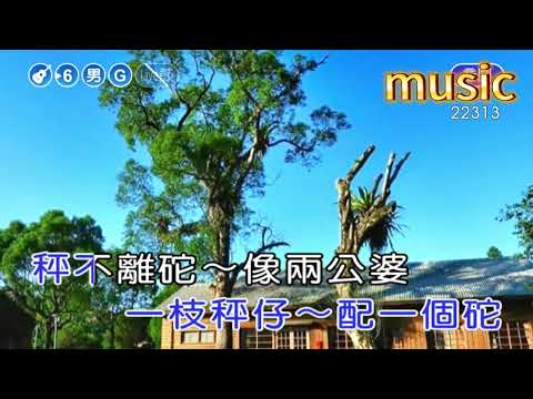 兩公婆~陳淑芳KTV 伴奏 no vocal 無人聲 music 純音樂 karaoke 卡拉OK 伴唱兩公婆~陳淑芳