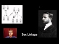 Exploring Advanced Concepts in Genetics