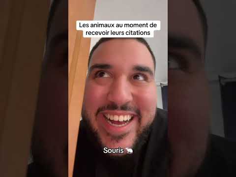 Les animaux au moment de recevoir leurs citations