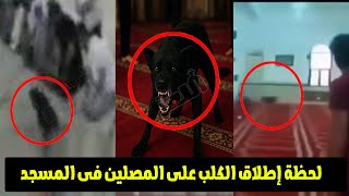 "صوت الأذان عالي" شاب يطلق كلب بوليسي على المسـ ـلمين اثناء الصـ ـلاة فى المسجد