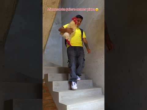 El Gallo quiere salir con su dueรฑo #gallos #gallinas #funnyanimals