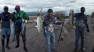 Oh yes, now the catch is getting better// First snook in a long while