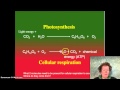 Plant and Cellular Biology Concepts