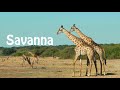Ancient African Civilizations and Geography