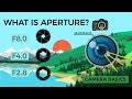 Understanding Aperture in Photography