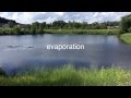 Understanding the Water Cycle