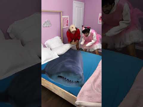 YATAĞIMDA KÖPEKBALIĞI SALDIRISI?!🦈😱 Az Kalsın ÖLÜYORDUM!