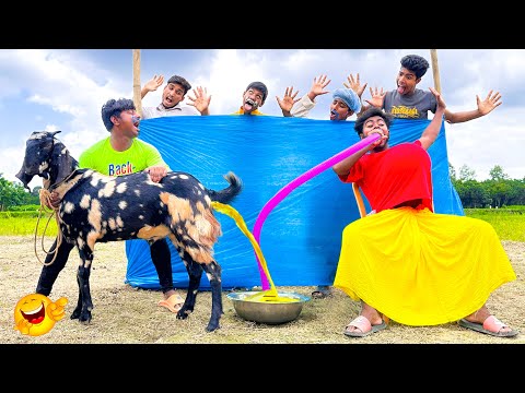 Top New Comedy Video Amazing Funny Video 😂 Try To Not Laugh Episode 208 By Haha Idea