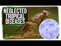 Chagas Disease and Neglected Tropical Diseases