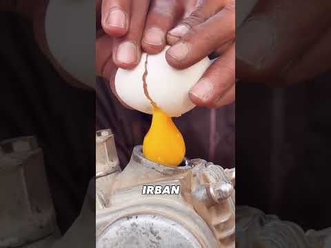 هندي نوض 103 بحبة بيض🥚🤣 #الجزائر #algerie #viral