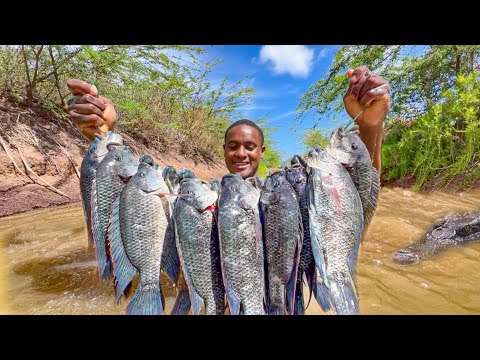 Epic Barehand Fishing Challenge | Catch And Cook