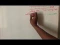 RNA and Protein Synthesis Concepts