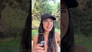 Manifestarás grandes Cantidades de Dinero 💰💸