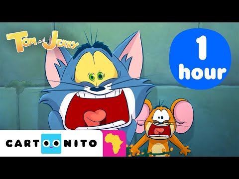 Mysterious Mermaid Saves Tom and Jerry | Tom & Jerry 1 hour Compilation Special | @CartoonitoAfrica​