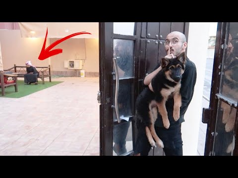 مقلب في محمد طارق (كلبته هربت )!! 🔥🔥