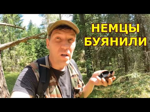 Немцы бесчинствовали в моём лесу и я с этим разобрался.