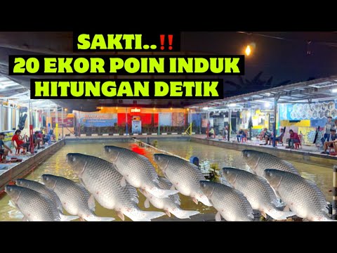 Boro-Boro Ngopi, Mau kencing aja susah mancing disini sibuk narik mulu