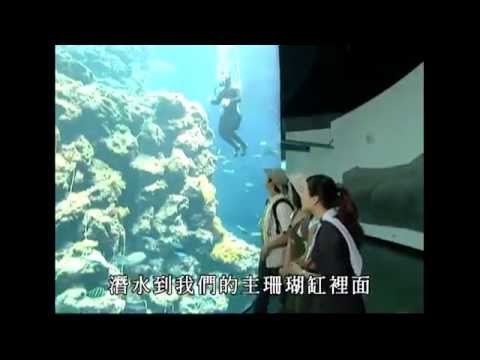 珊瑚的秘密生活 【下課花路米 1135】 - YouTube