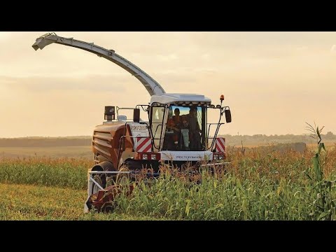 Новый кормоуборочный комбайн F2650 от Ростсельмаш. Полевые испытания.