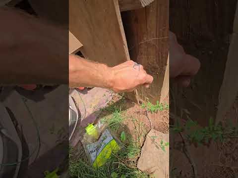 I use Woodrich Timber Oil on the homestead #narrowayhomestead #offgridlife #woodstain #woodrich