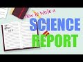 Scientific Report Essentials