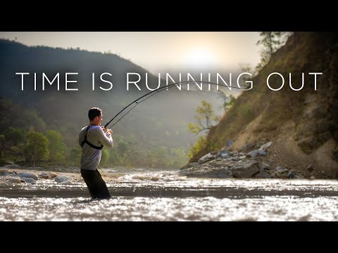 My Quest for India’s Greatest Fish - FULL MOVIE