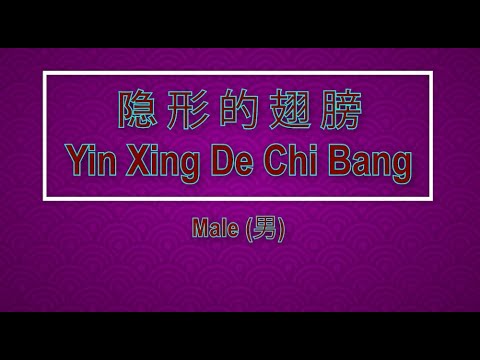 隱形的翅膀 (Yin Xing De Chi Bang) Male – Karaoke Mandarin