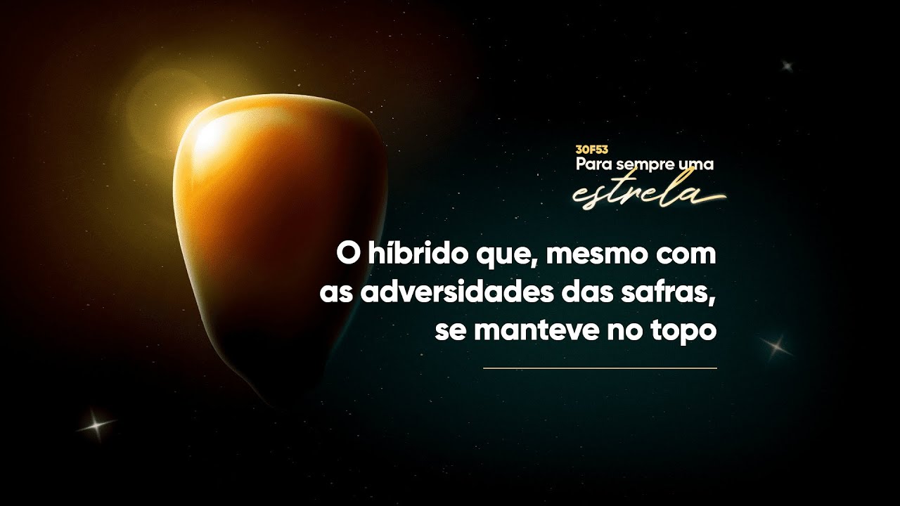 Vídeo 6