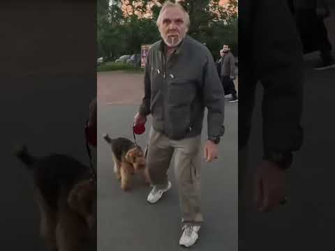 #fighting #automobile #moto #sportbike #tiktok #danyanov #музыка #standoff2 #smartphone #funny