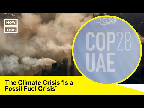 Climate Activist Calls COP28 Agreement the 'Bare Minimum'