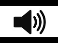 Understanding the Transcript
