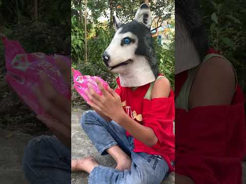 two poor dogs #trending #funny #viral #dog