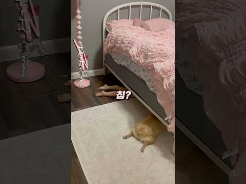 세상에서 가장 귀여운 조합