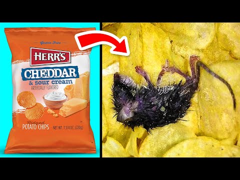 If You Notice This In Your Food, Throw It Away Immediately