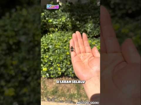 Ketika Bosan Dengan Hewan Peliharaan Yang Itu itu Aja