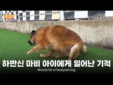 불치에 가까웠던 틱장애를 이겨내는 기적을 일궈 낸 임보자의 노력 The Remarkable Effort of an Individual Overcoming a Tic Disorder