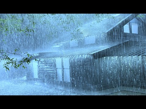 Eliminate Insomnia in 3 Minutes with Loud Rain & Powerful Thunder on Ancient Tin Roof in Dark Forest