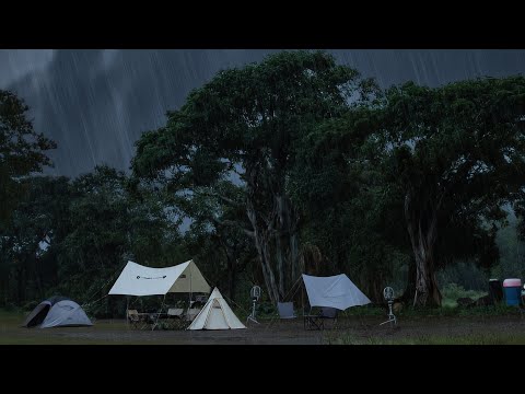 Group Camping 🏕️ || Aerthys