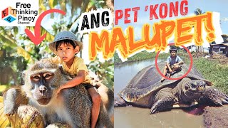 NEW🌟 Top 10 Delikadong Hayop ALAGA sa Bahay | Dangerous animals Kept as Pets PART 2