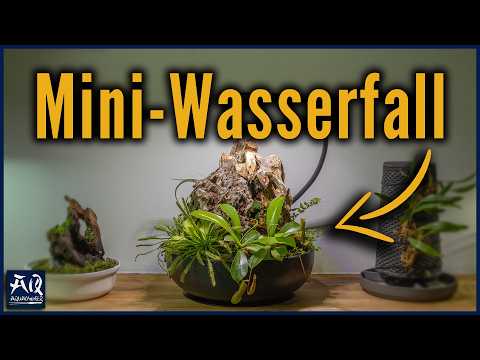 Mini-Wasserfall selber bauen für fleischfressende Pflanzen | AquaOwner