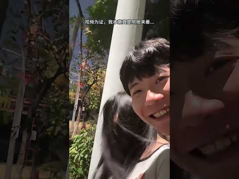 人类倒霉日常，功德都笑没了