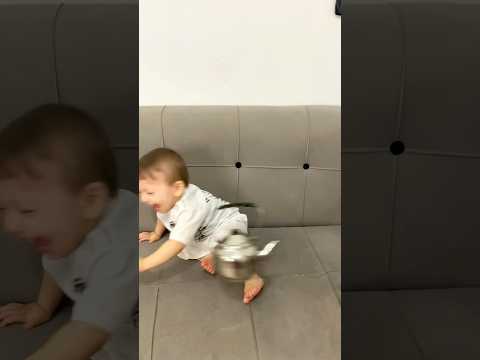 مقلب بريق الشاي