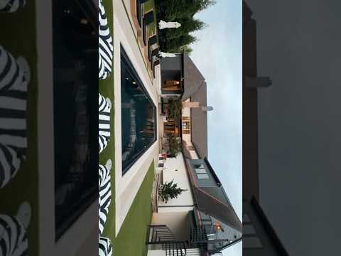 Capturing Luxury Real Estate in Motion 🏡 DJI RS 4 Gimbal #videography #realestatevideo