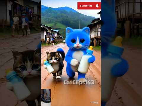 Beautiful cats dancing 💓 Dudu piyenge #billi #cat #funny #cartoon #catdancing #catshorts
