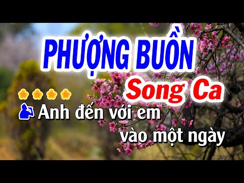 Karaoke Phượng Buồn Song Ca D# | Nhạc Sống Tú Anh