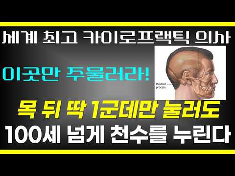 뒷목에 이곳을 살짝만 눌러도 거짓말처럼 병이 싹 낫는다 / 세계 최고 카이로프랙틱 의사가 남몰래 알려주는 건강비법